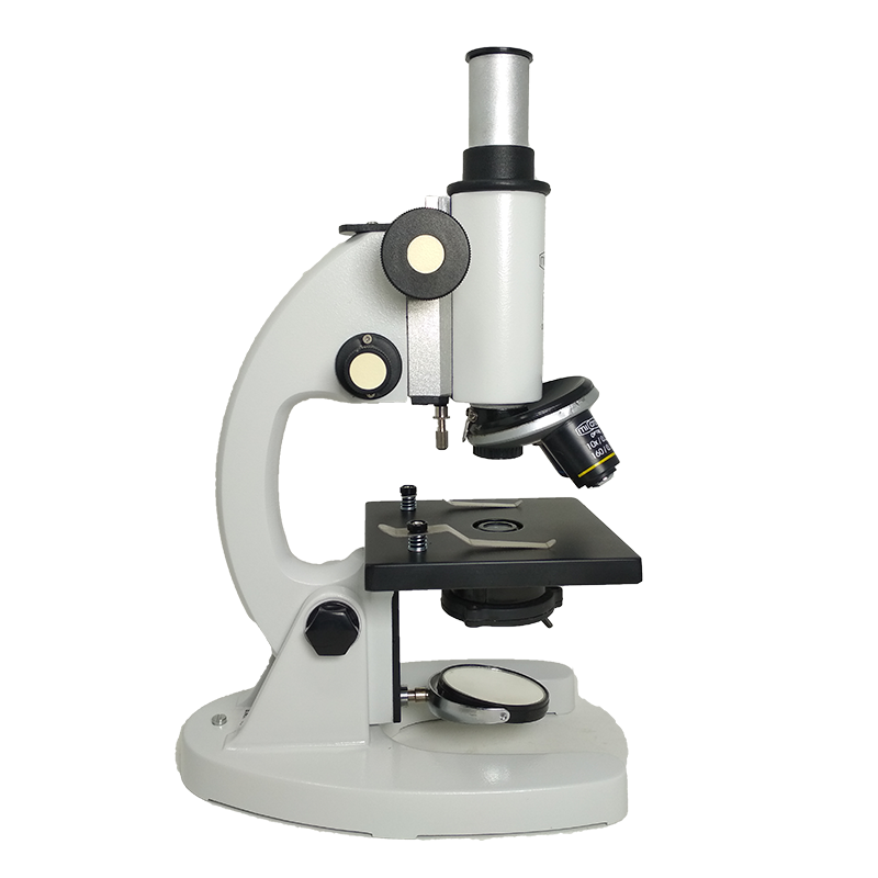 Compound Microscope
