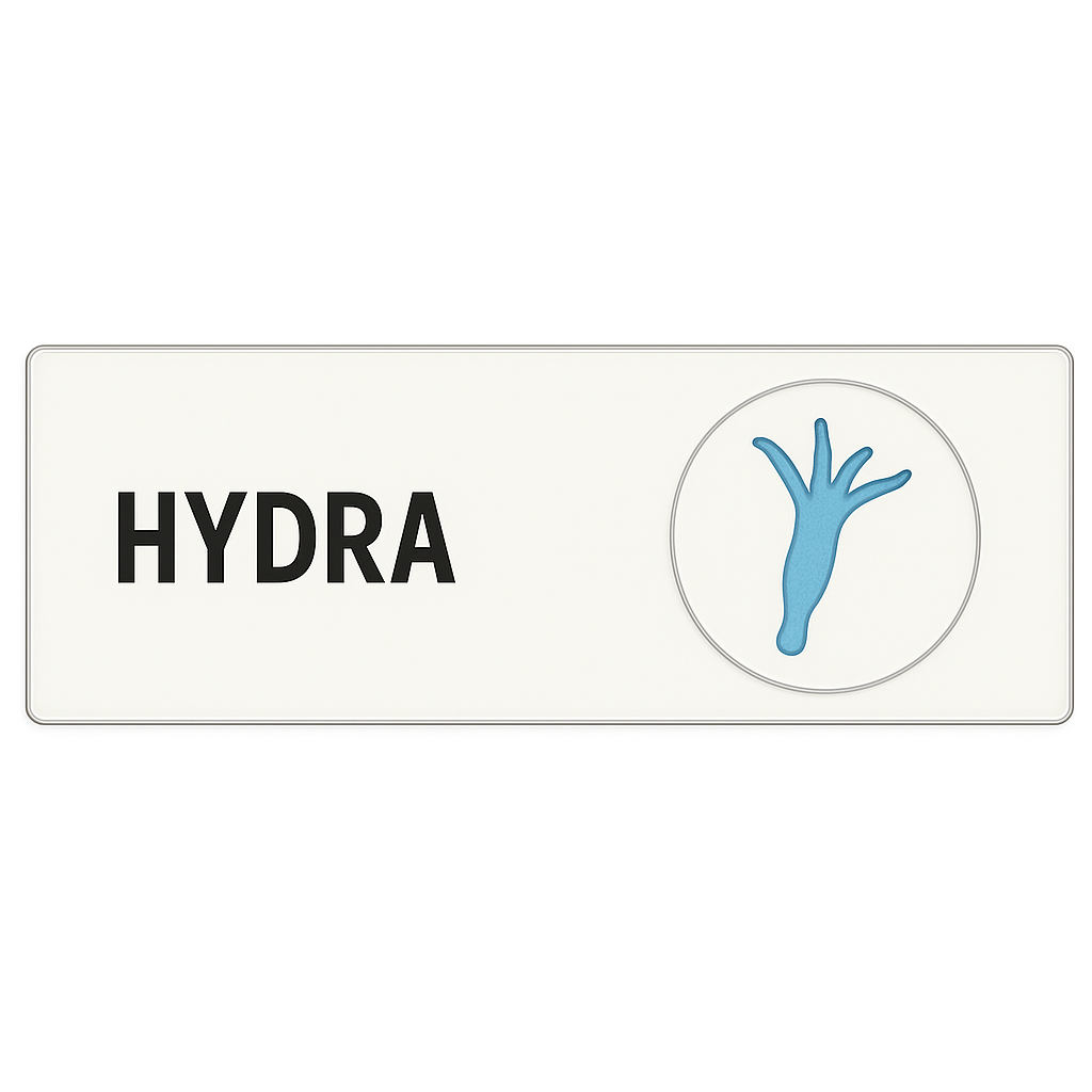 Microscope Slide – Hydra