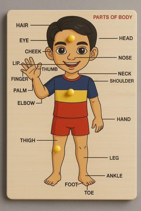 Parts of Body Puzzle