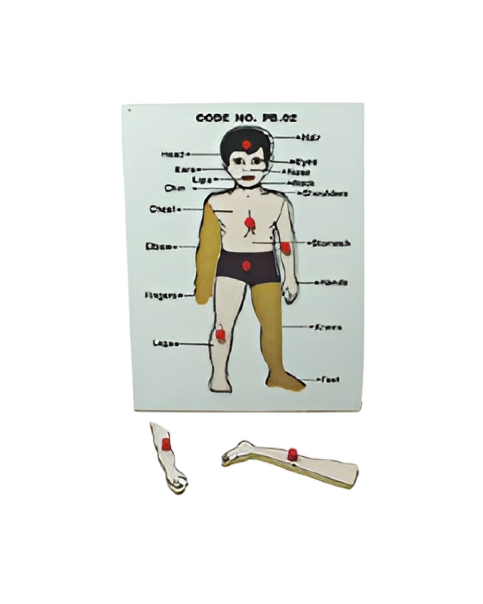 Parts of Body Puzzle for Early Learning