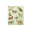 Domestic Animals Puzzle