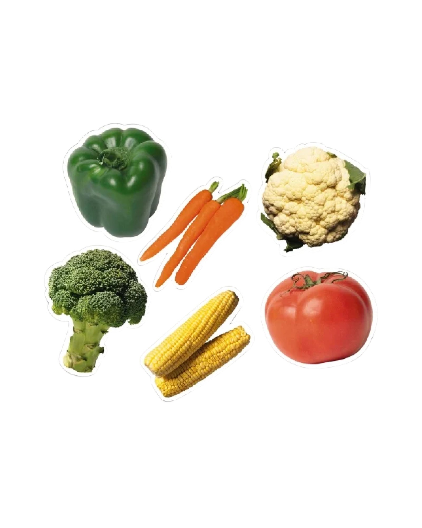 Wall Decor Vegetables for Preschool