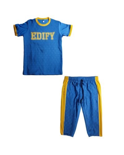 Sports T-Shirt (Blue)(Grade 6 to 12)